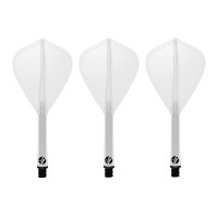 Kite